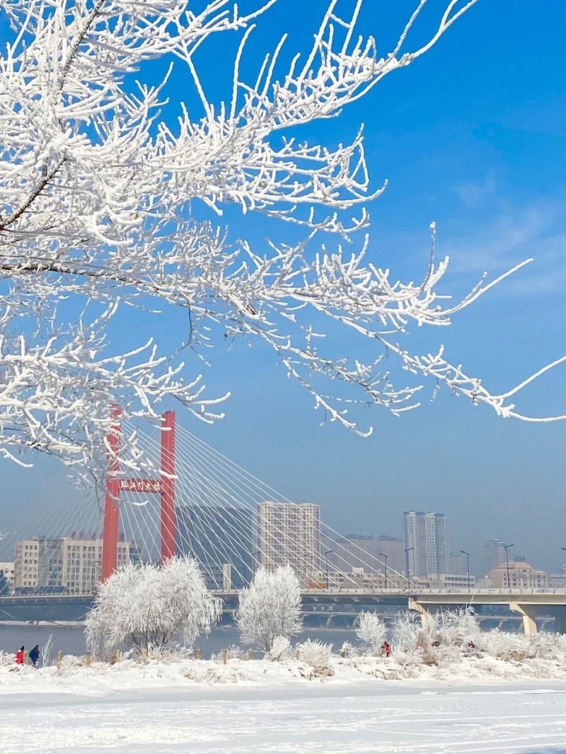 吉林田野上的吉他之音