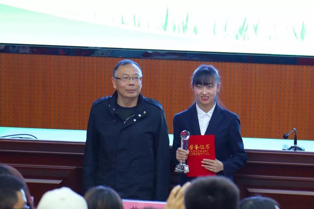 宁夏,深度解读与评论