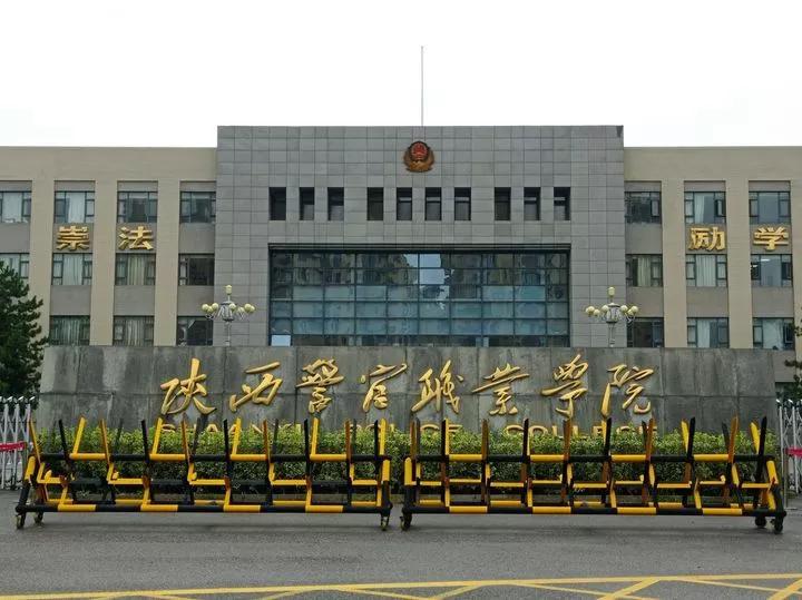 陕西味浓,家常温馨——我的陕西日常乐章