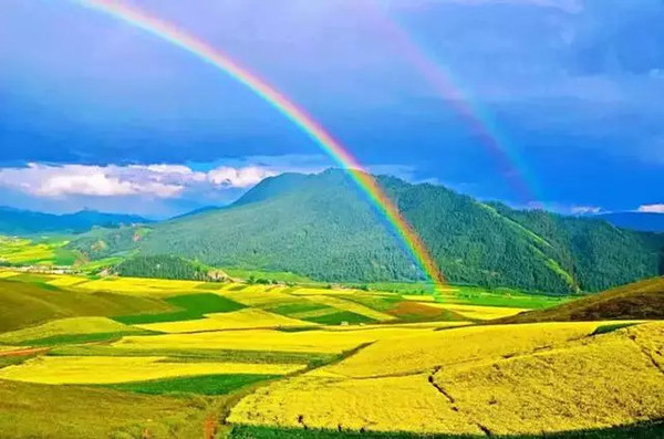 青海盛会,致敬领导与朋友们