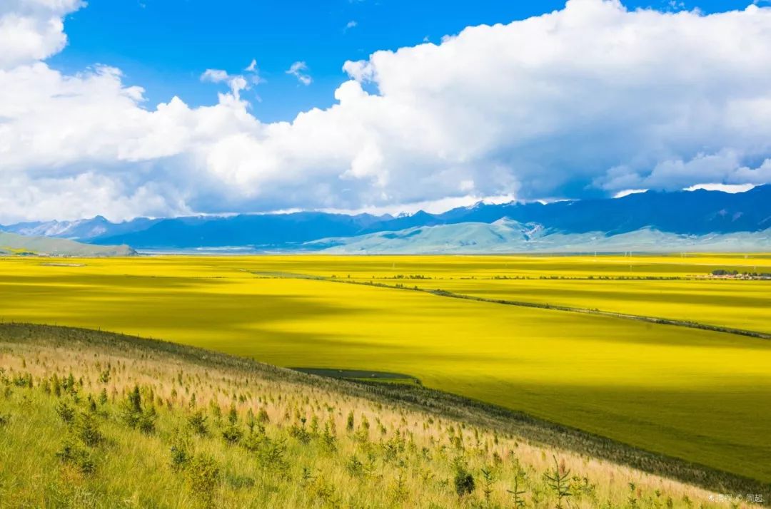 青海盛会,致敬领导与朋友们