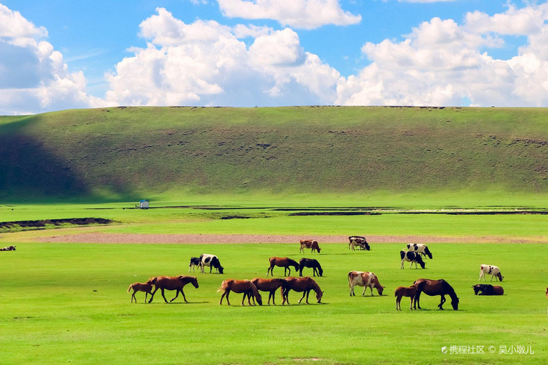 呼伦贝尔,草原荣光与时代印记的交织