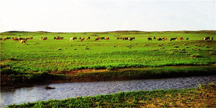 巴彦淖尔操作指南,完成一项任务或学习技能的步骤与指南